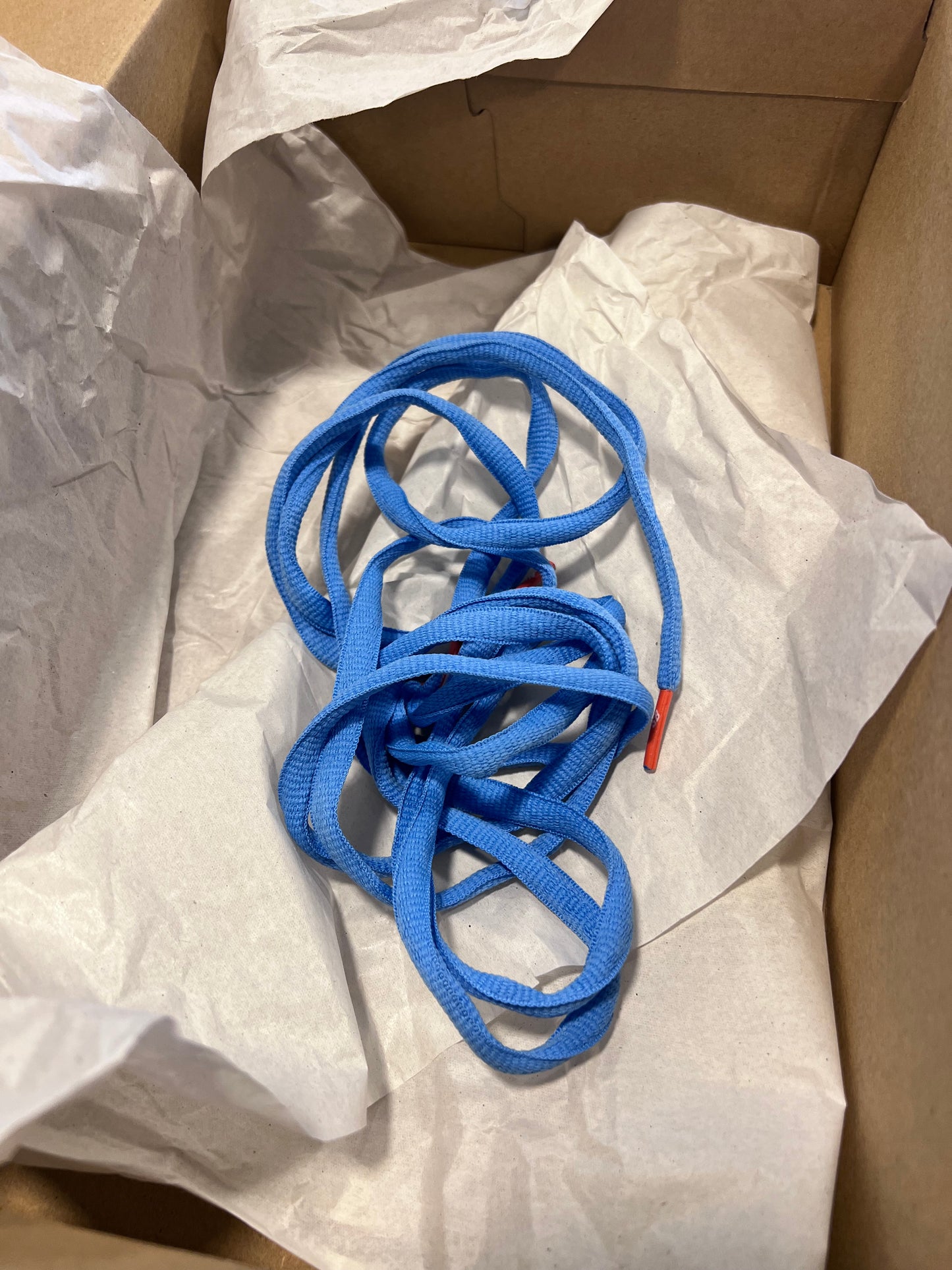 Nike SB Dunk Low Pro
University Blue Gum