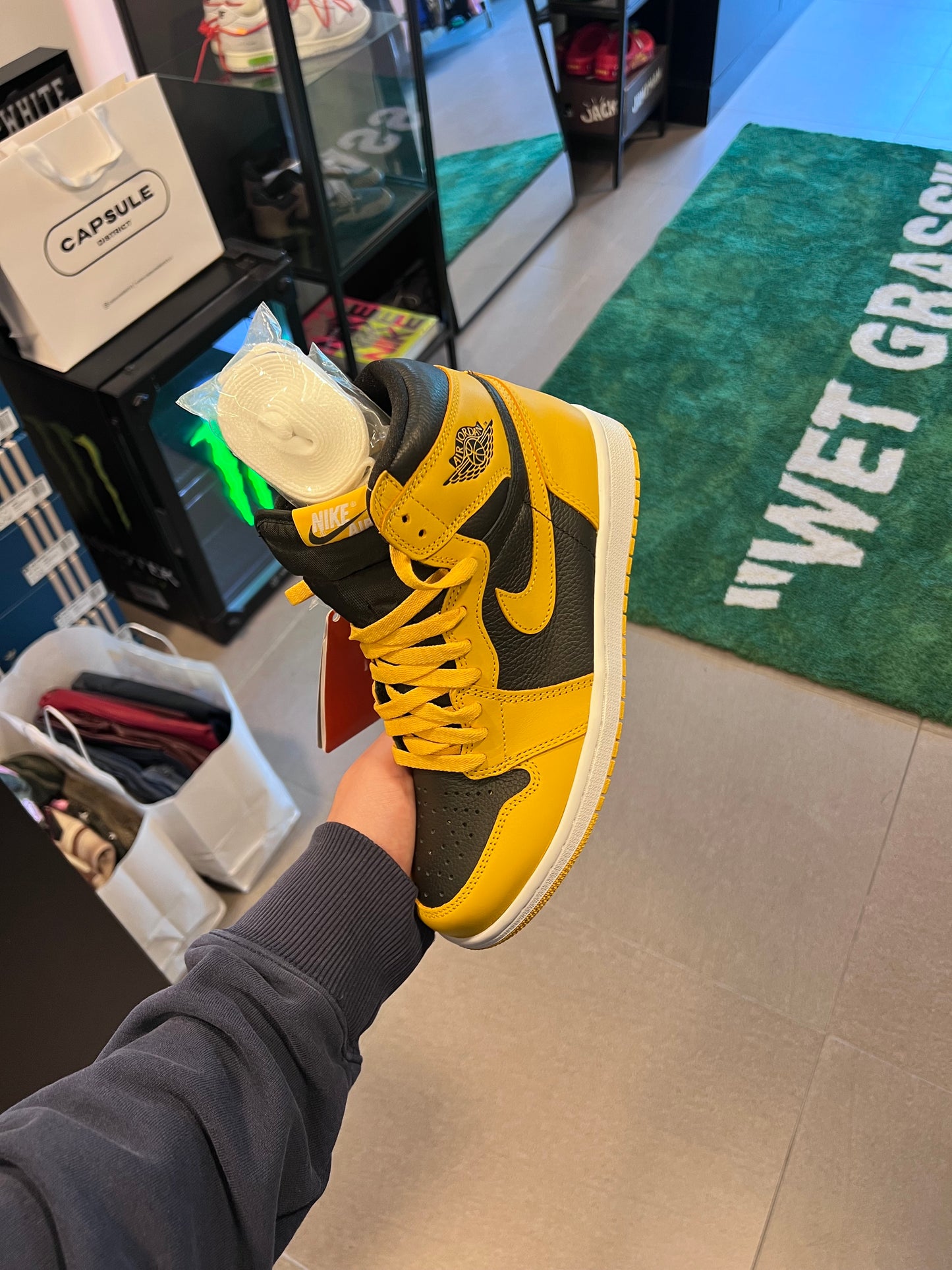 Jordan 1 Retro High
Pollen