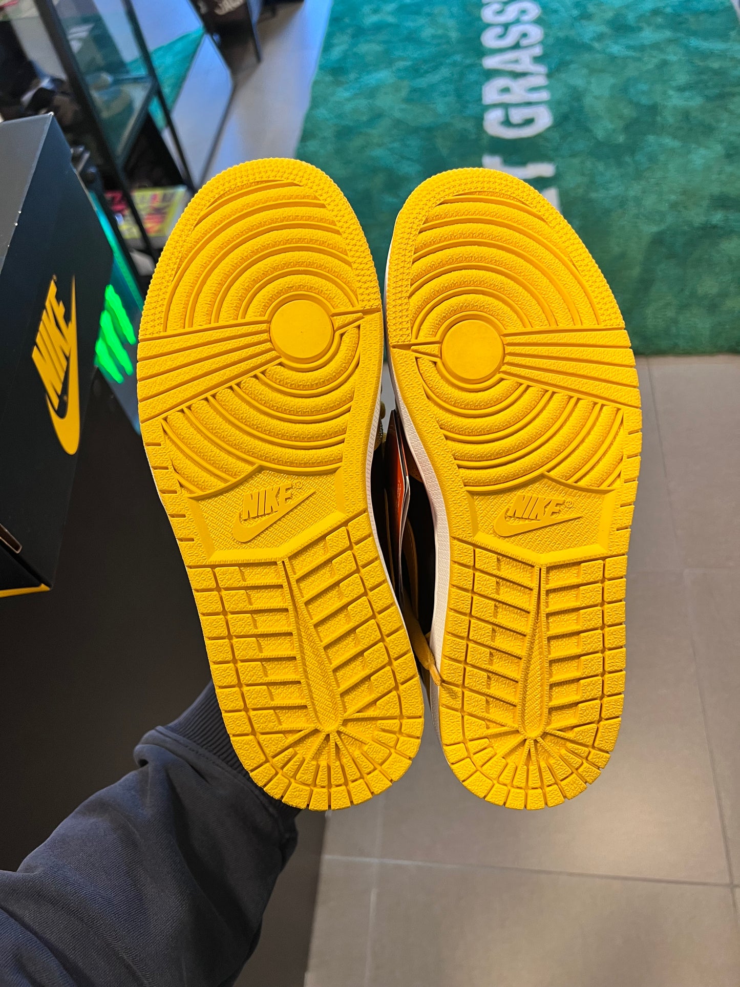 Jordan 1 Retro High
Pollen