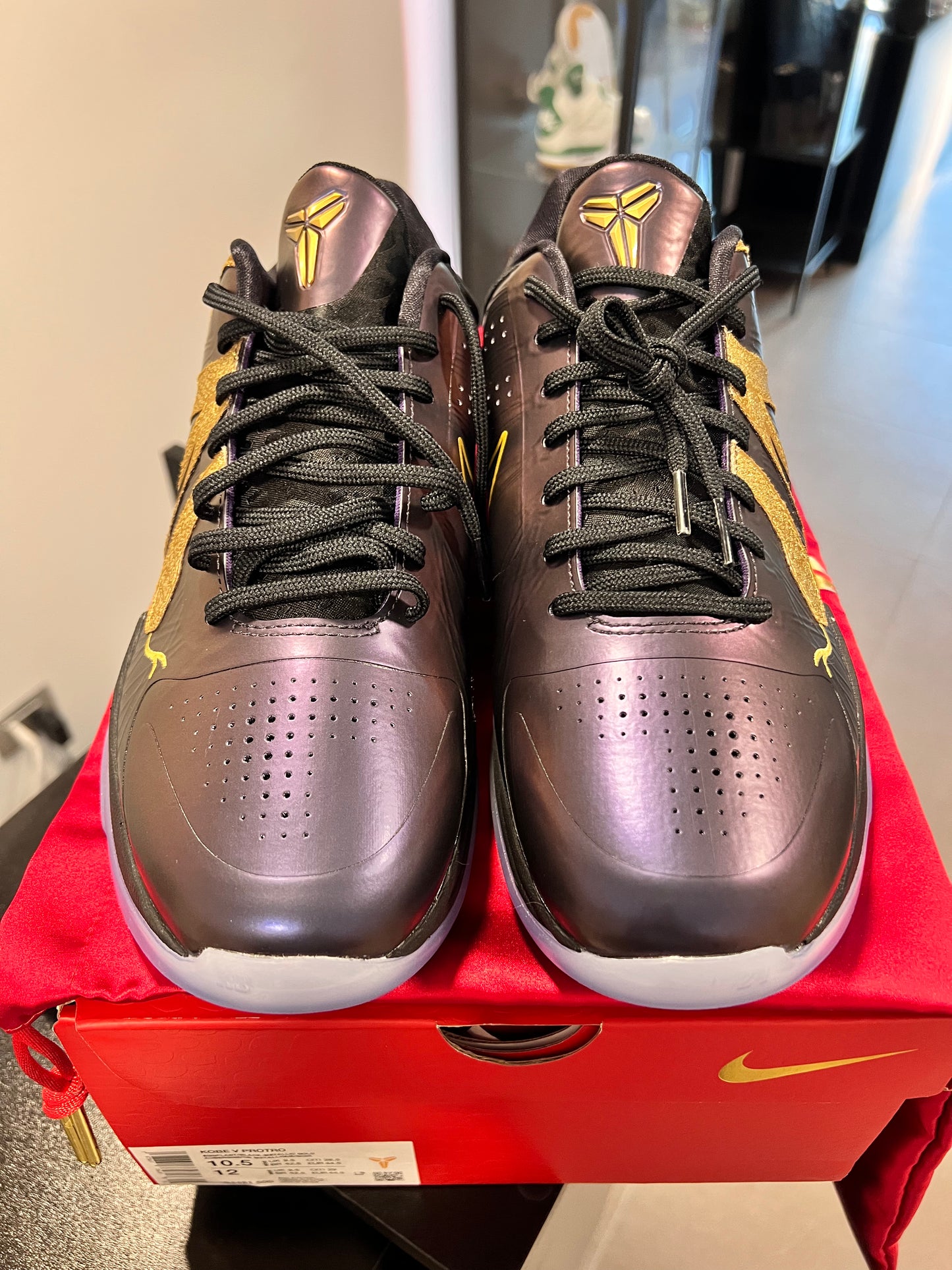 Nike Kobe 5 Potro Year of the Mamba Eggplant