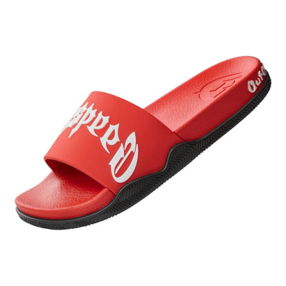 Slides GDSP OG Logo Red