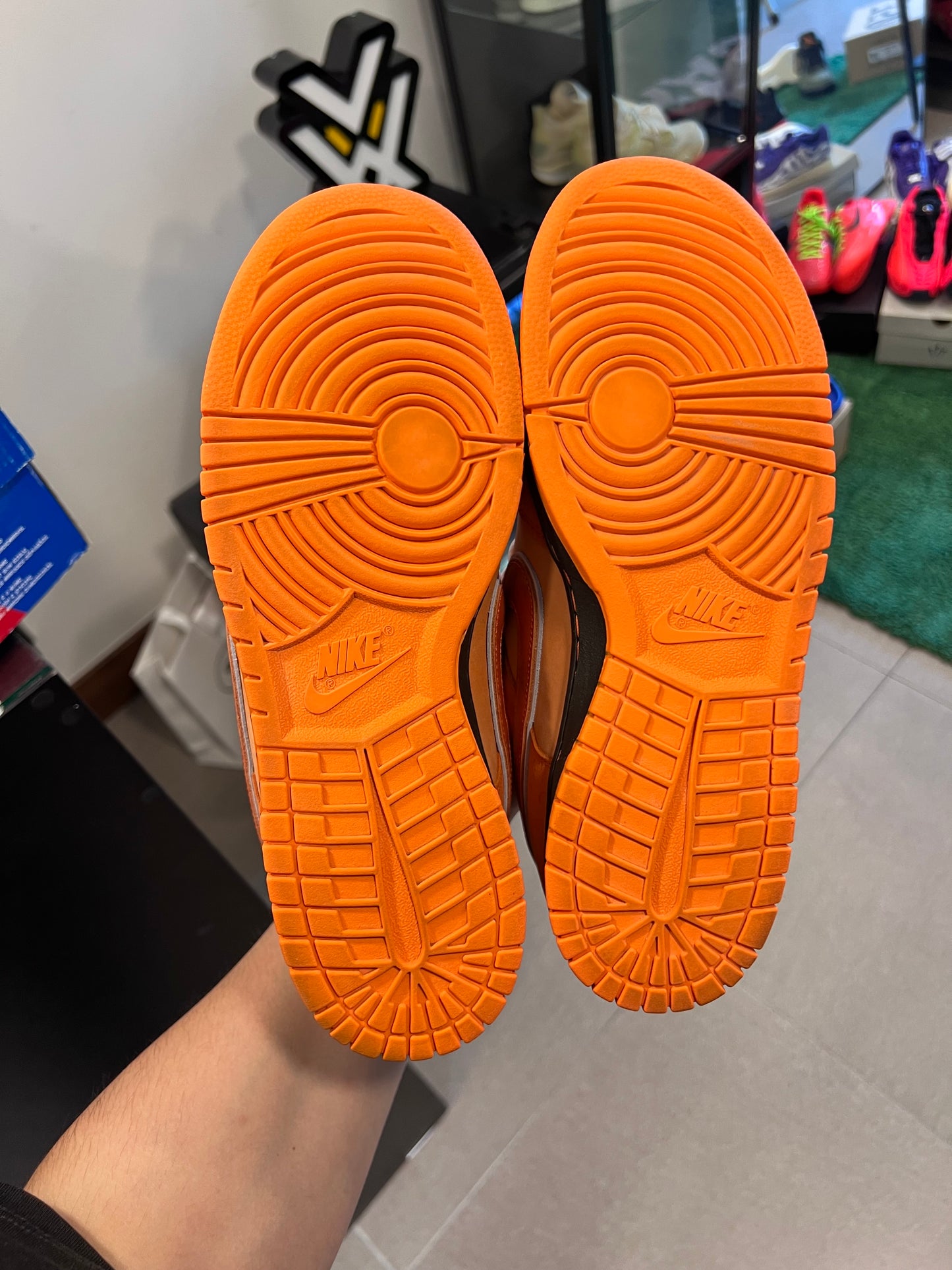 Nike SB Dunk Low Concepts Orange Lobster