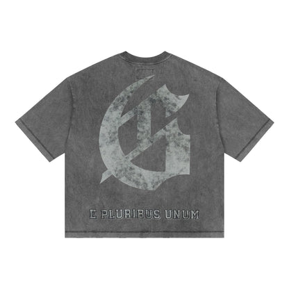 T-Shirt Godspeed Collegiate Grey Wash