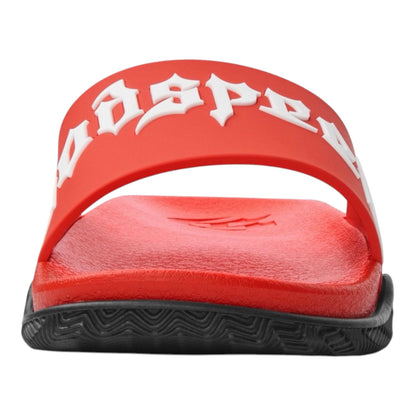 Slides GDSP OG Logo Red