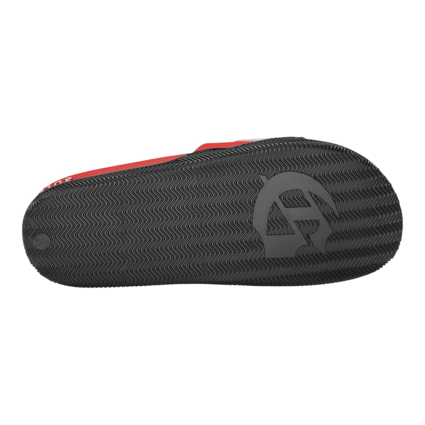 Slides GDSP OG Logo Red