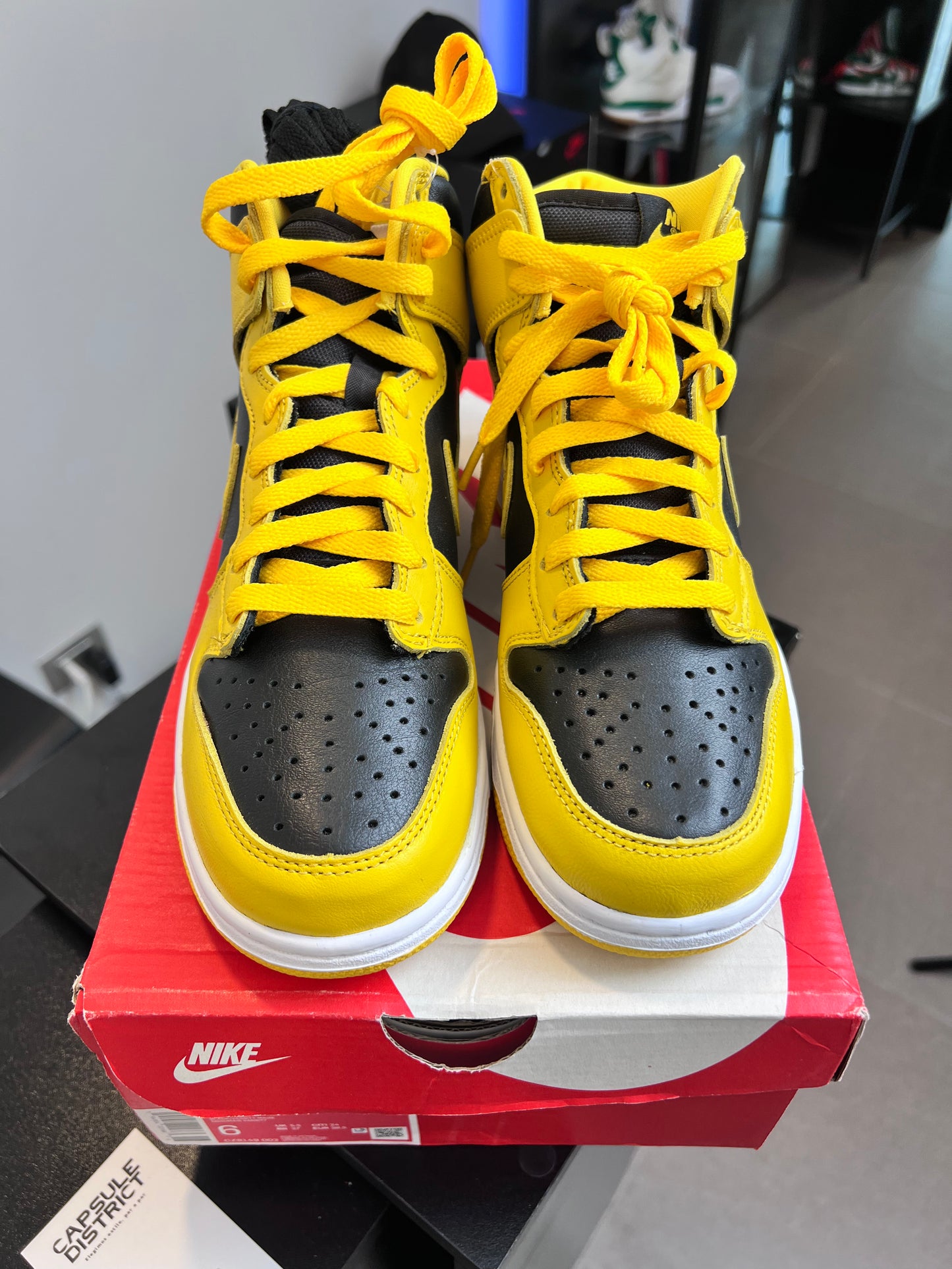 Nike Dunk High Lowa (2020)