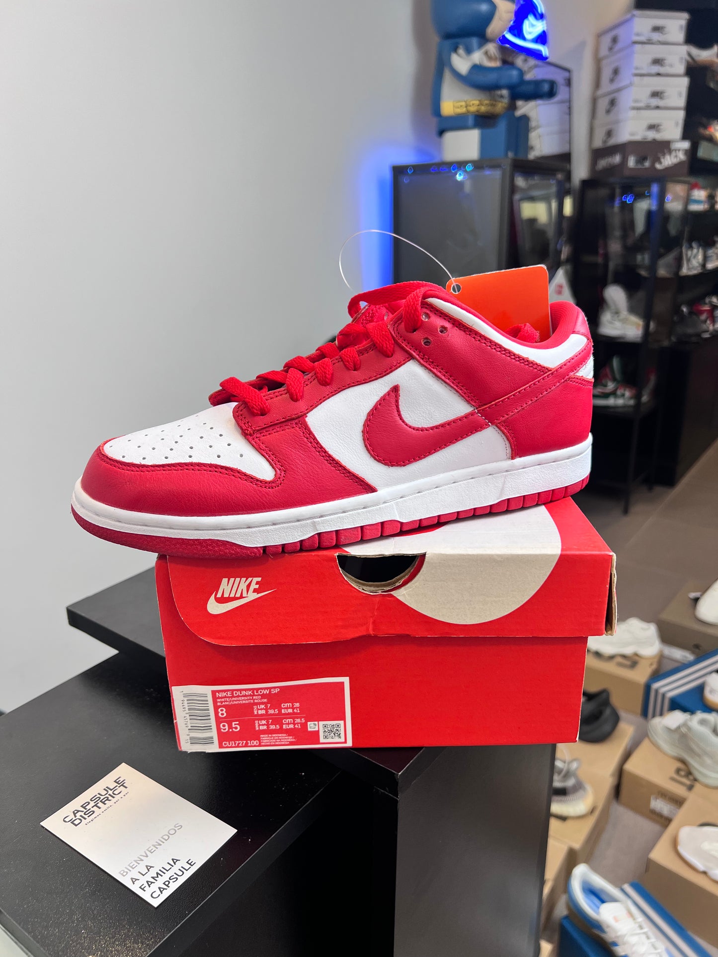 Nike Dunk Low SP St. John’s